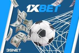 Comprehensive Payout Guide Maximizing Your Earnings 844557237
